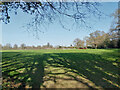 Rusper Road Playing Fields, Ifield