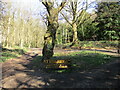 Junction of paths, The Warren, Bestwood Country Park