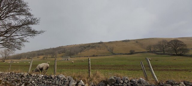 Grazing land in Wharfedale
