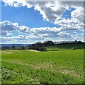 View SSW from the path south of Lodsworth