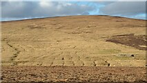 NC7726 : Traces of old Ridge and Furrow Field System at Riasg, Sutherland by Andrew Tryon
