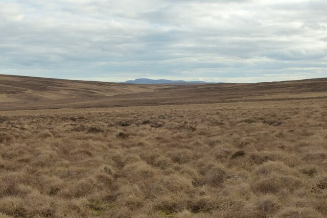 Grassy Moorland in Upper Strath na Frithe, Sutherland