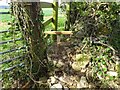 Stone Stile, Whittington