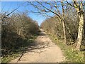 Lanchester Valley Railway Path