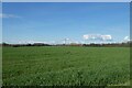 Electric poles crossing a field