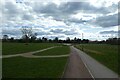 Cycle path through Millfields