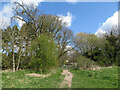 Footpath end in Horsenden