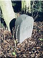 Old Boundary Marker in Stamford Park, Tameside