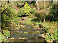 SH7972 : Dell Garden, Afon Hiraethlyn by David Dixon