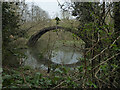 A strange arch in Bewdley