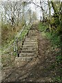 Steps up to Redbrae Road