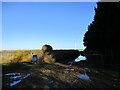 Very  wet  track  between  farm  shelterbelt  and  straw  bales