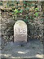 Old Boundary Marker on the B3213 Exeter Road in Ivybridge