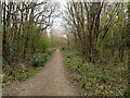 Bridleway 374 towards Weatherhill Common