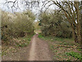 Bridleway 374 towards Weatherhill Common