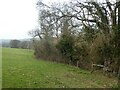 Footpath west of Lower Park, Coldridge