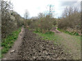 Bridleway 374 (left) and footpath 376 diverge