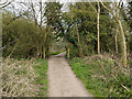 Bridleway 374 towards Smallfield Road