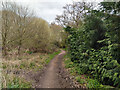 Bridleway 374 towards Smallfield Road