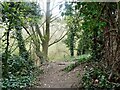 Berengrave Local Nature Reserve, Rainham