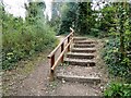 Berengrave Local Nature Reserve, Rainham