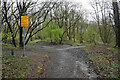 Junction of paths in Moses Gate Country Park