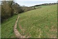 Path beside Slade Brook