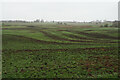 Treated grazing land at Darcy Lever