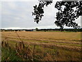 Looking across the fields towards Foulden Newton