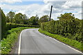 Rural lane