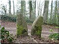 SO8206 : Stone Stile, Standish Wood by Mr Red