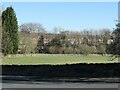 Houses on the south side of Wharncliffe Road