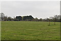 Football pitch, Collier Street