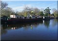 Grand Union Canal near Windmill Bridge