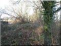 Old overgrown abandoned railway line near Crosshouses