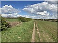 The Robin Hood Way approaching Edwinstowe