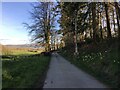 Lane near Pontdolgoch