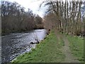 Bank of the River Kelvin