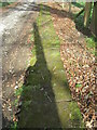 Stone trod near Egton Bridge