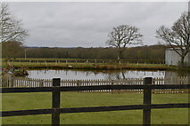 TQ6214 : Church Farm pond by N Chadwick