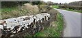 Road and stream at Oakbank Bridge