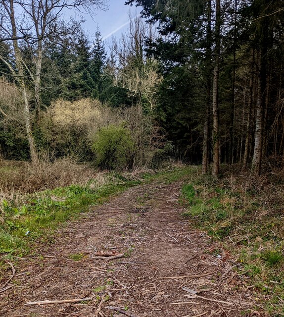 Track Into Coed Abergwenllan © Jaggery Cc By Sa20 Geograph