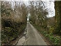 Minor road near Glan-yr-Afon