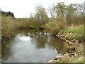 River Kelvin