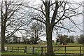 Entrance to the Stable Yard Kitchen, Walkern