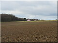 Pink bales