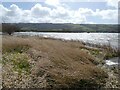 Blagdon Lake