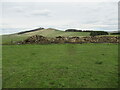 NT5613 : The endless cycle of grass on Nether Tofts farm in The Scottish Borders by ian shiell