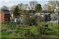 Allotments beside Pampisford Road