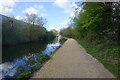 Grand Union Canal towards bridge #197